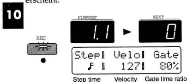 ROLAND MC-505 - Drücken Sie [REC], um die Aufnahme zu aktivieren. - 1
