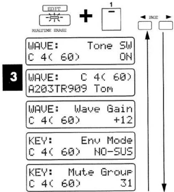EDIT + 1 REALTIME ERASE WAVE: Tone SW C 4( 60) ON 3 WAVE: C 4( 60) A203TR909 Tom WAVE: Wave Gain C 4( 60) +12 KEY: Env Mode C 4( 60) NO-SUS KEY: Mute Group C 4( 60) 31