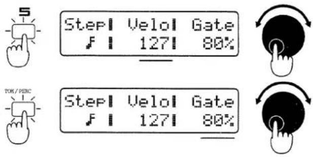 5 Step1 Velo1 Gate 127 80% Step1 Velo1 Gate 127 80% TOM / PENC