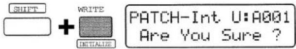 SHIFT WRITE INITIALIZE PATCH-Int U:A001 Are You Sure?
