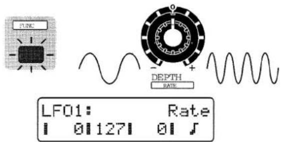 FUNG DEPTH RATE LF01: Rate 0 127 0 5