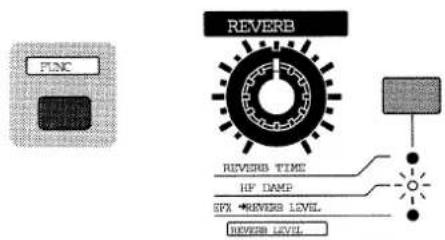 PUNC REVERB REVERB TIME IF DAMP SPX • REVERB LEVEL REVERB LEVEL