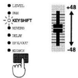 LEVEL ONN KEYSHIFT REVERB DELAY EFX/OUT IGCBOX +48 -48