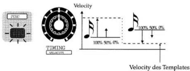 FIRE TIMING VELOCITY Velocity 100% 50% 0% 100% 50% 0% Velocity des Templates