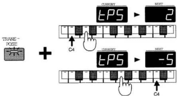 TRANS- POSE + CURRENT EPS 2 C4 CURRENT EPS -5 C4 NEXT