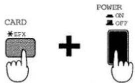 CARD *EFX + POWER ON OFF
