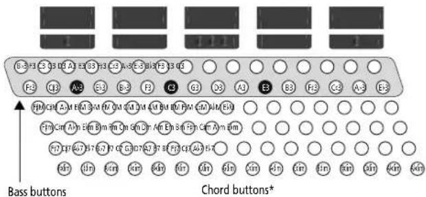 Bass buttons Chord buttons*
