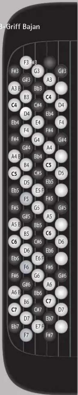 ROLAND FR-2 - Bass & Chord Mode - 4