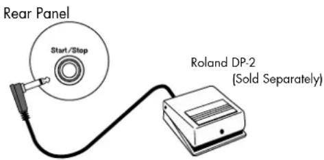Rear Panel Start/Stop Roland DP-2 (Sold Separately)