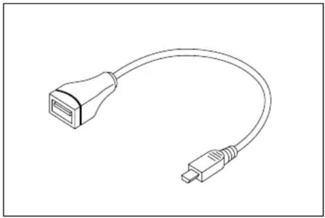 FUJITSU SIEMENS Pocket LOOX T830 - Using the Pocket PC as a USB Host device - 1