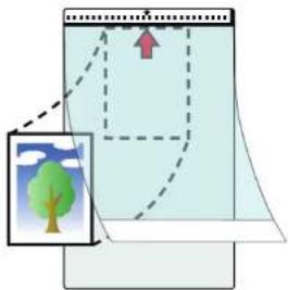 FUJITSU SIEMENS Fi-6130Z - Scanning Photographs and Clippings - 1