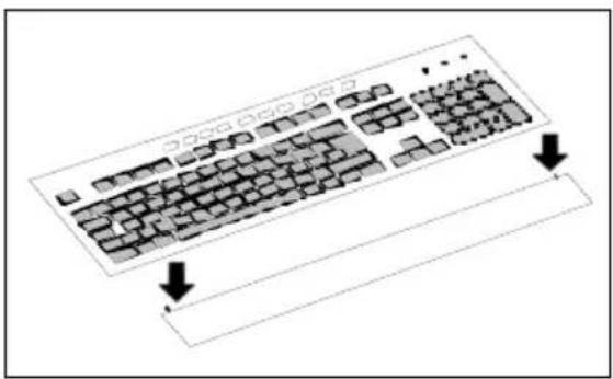 FUJITSU SIEMENS Scaleo 800 - Wrist support - 2