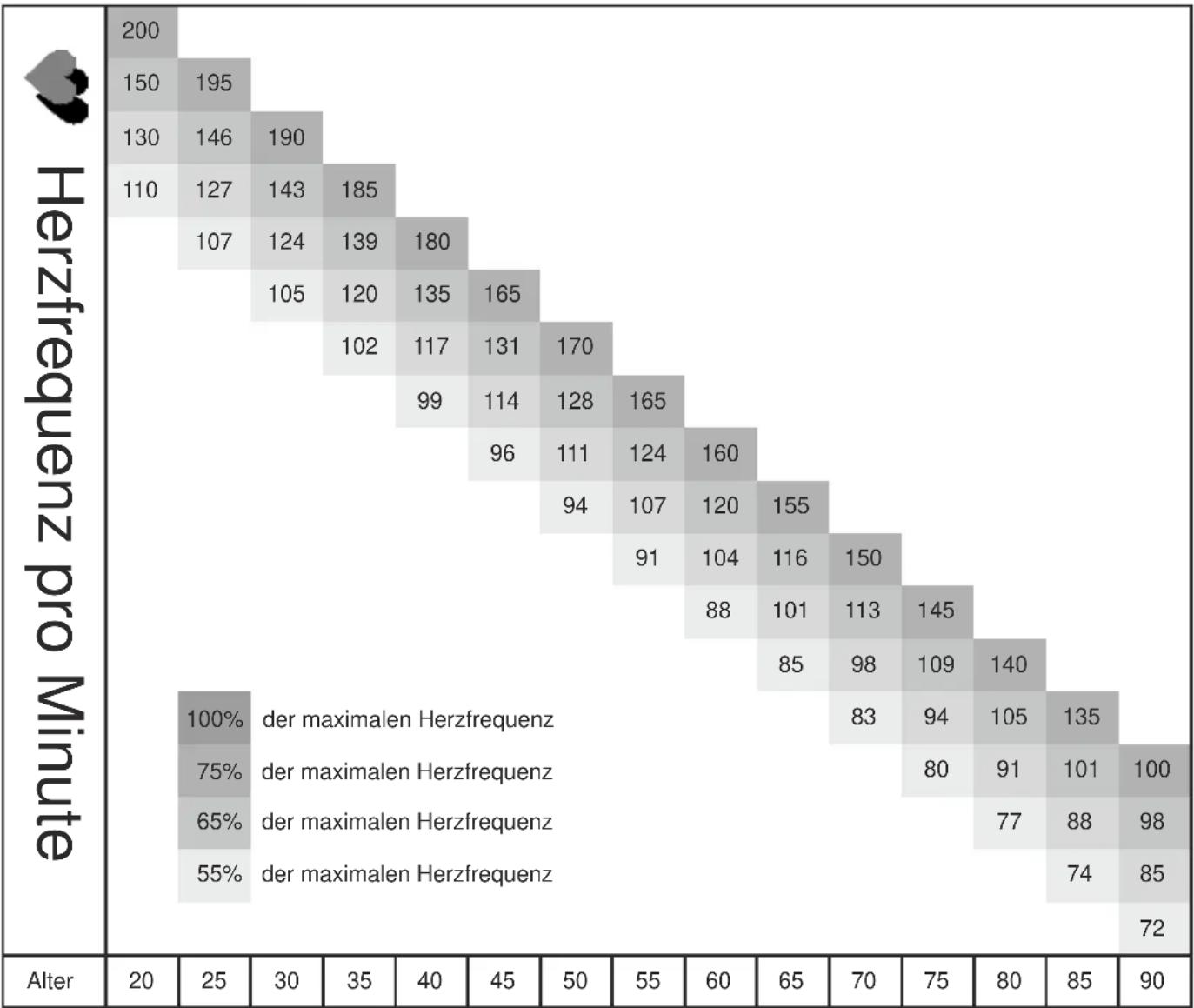 Maxxus TX 70 - Körperfettanalyse - 1