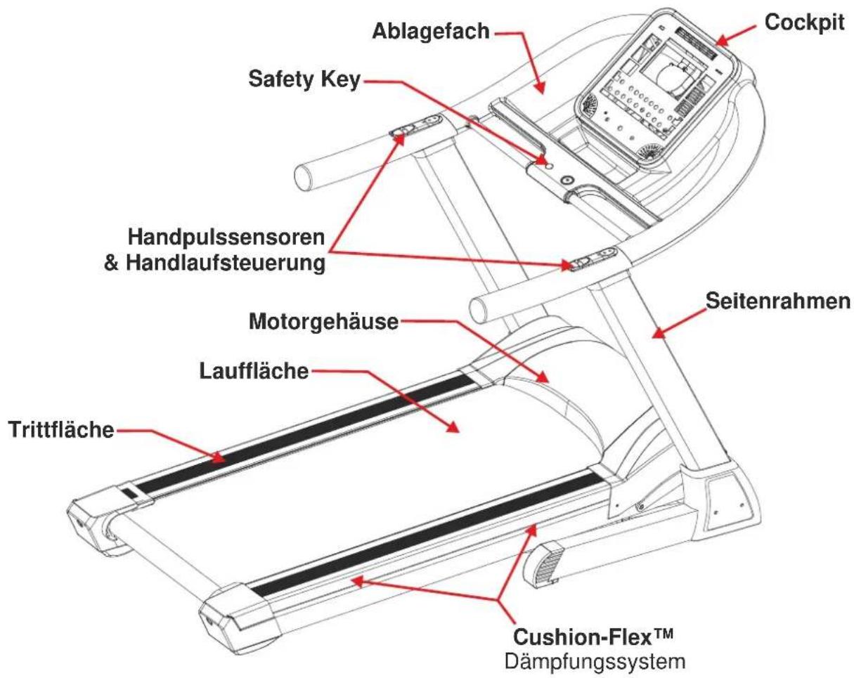 Maxxus TX 8.1 - Persönliche Sicherheitshinweise für das Training - 1