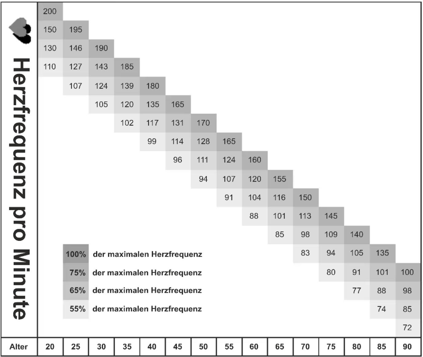 Maxxus TX 80 Pro - Körperfettanalyse - 1