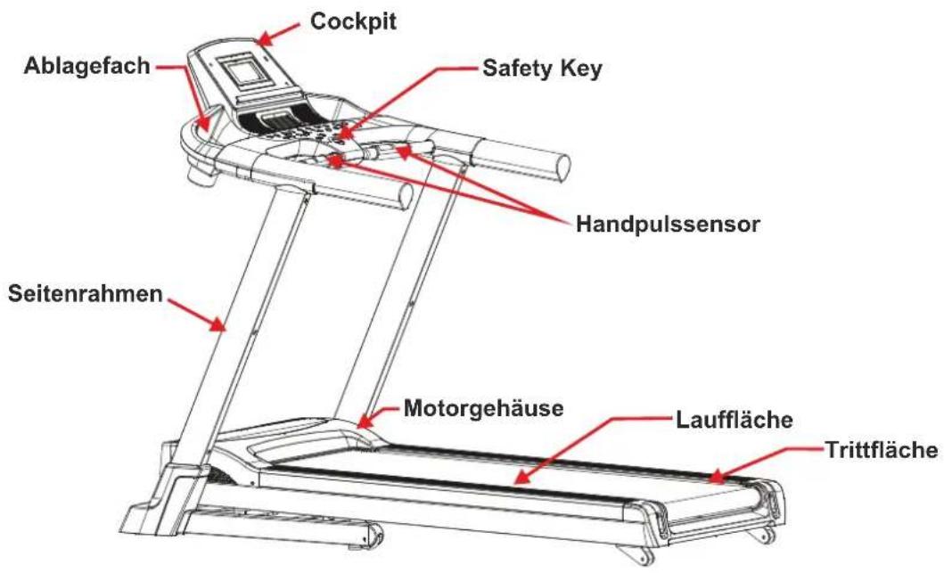Maxxus TX 6.4 - Geräteübersicht - 1
