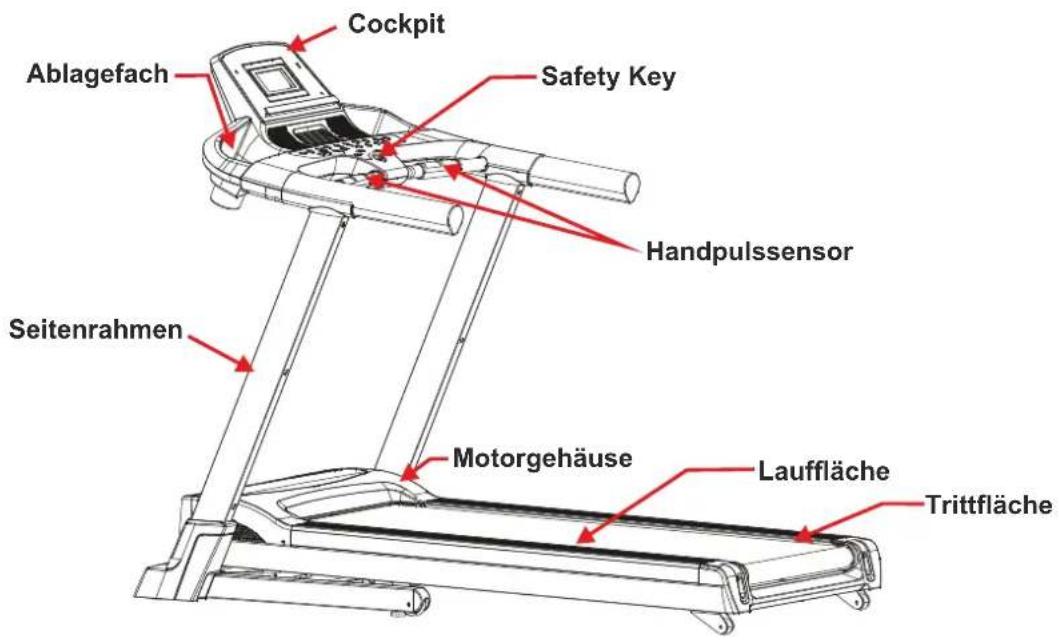 Maxxus TX 5.3 - Geräteübersicht - 1