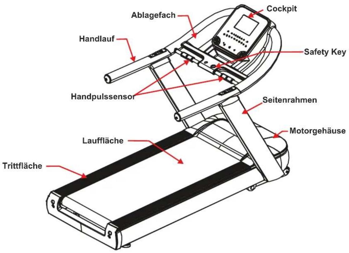 Maxxus Phantom 10.0 - Persönliche Sicherheitshinweise für das Training - 1