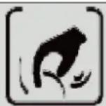 Maxxus MX 8.0 - Knet- & Klopfmassage: - 1