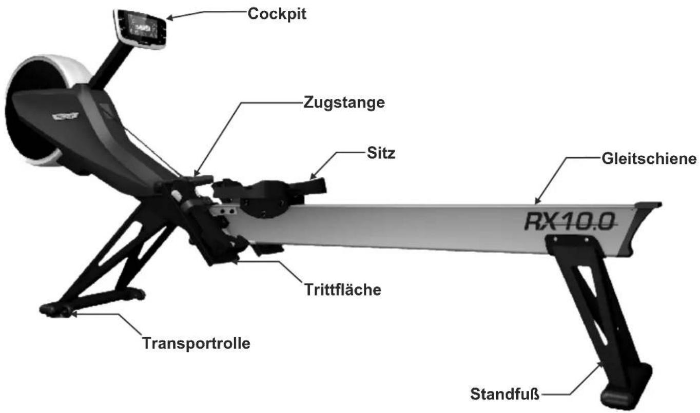 Maxxus RX 10.0 - Persönliche Sicherheitshinweise für das Training - 1