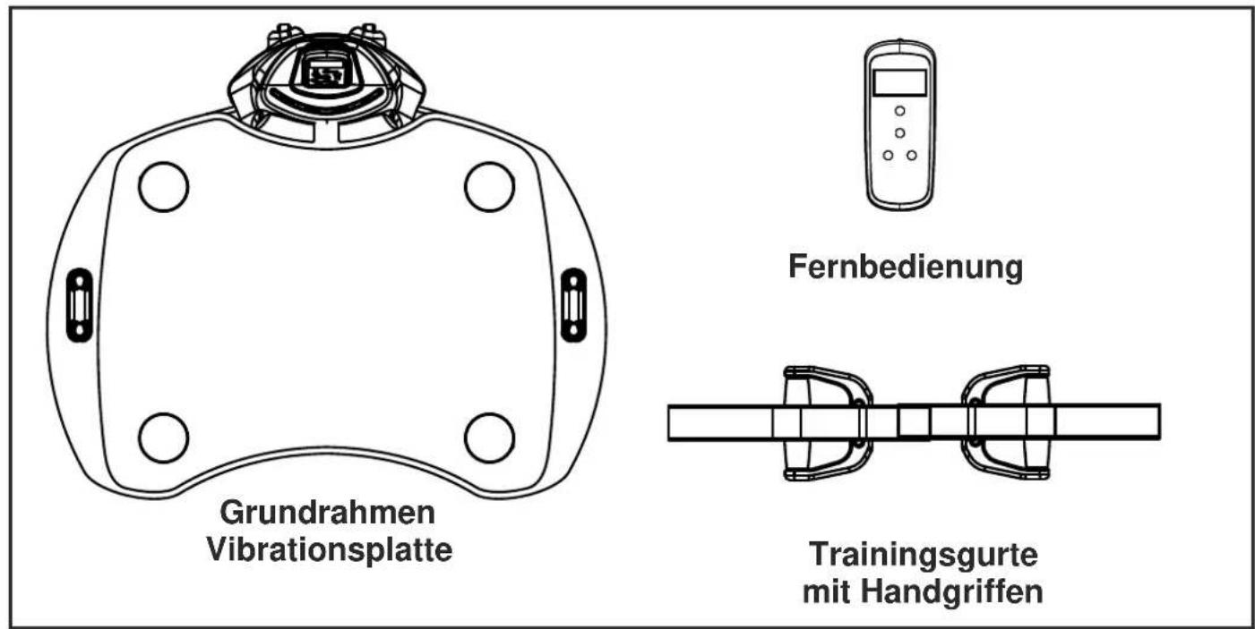 Maxxus Life Plate 1.0 - Lieferumfang - 1