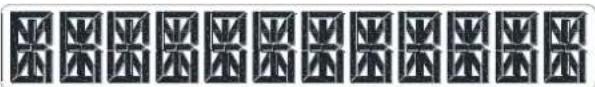 Maxxus CX 4.2e Crosstrainer - Informationsanzeige: - 2