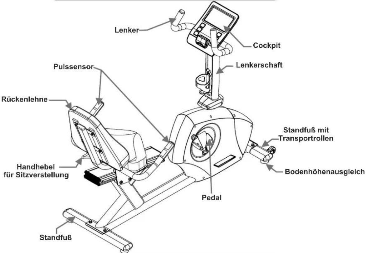 Maxxus BX 4.2 R - Persönliche Sicherheitshinweise für das Training - 1