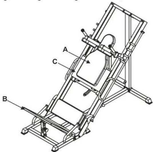 Maxxus Beinpresse 2in1 - Zusätzlich beanspruchte Muskeln: - 1