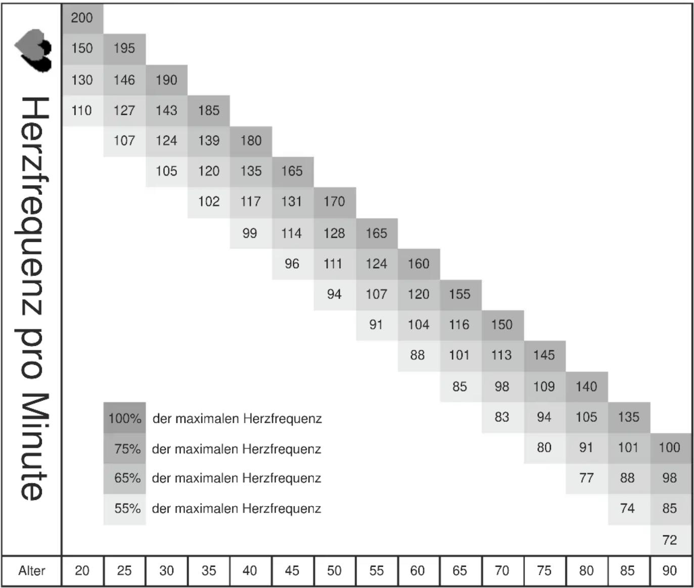 Maxxus TX 6.3 - Benutzerprogramm - 1