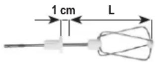 1 cm L