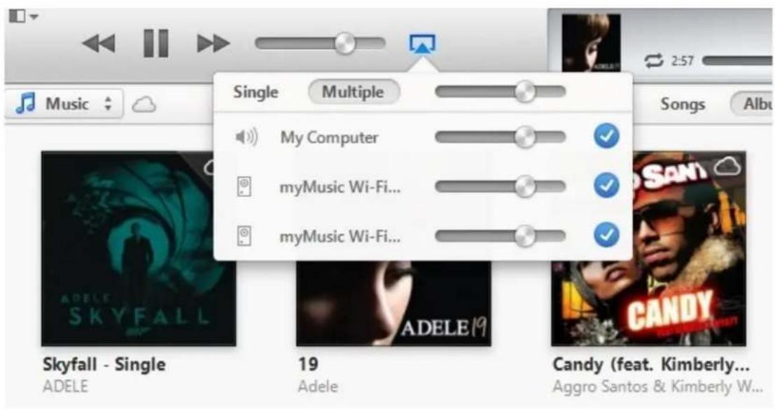 HAUPPAUGE MyMusic Wi-Fi - Mit iTunes - 1