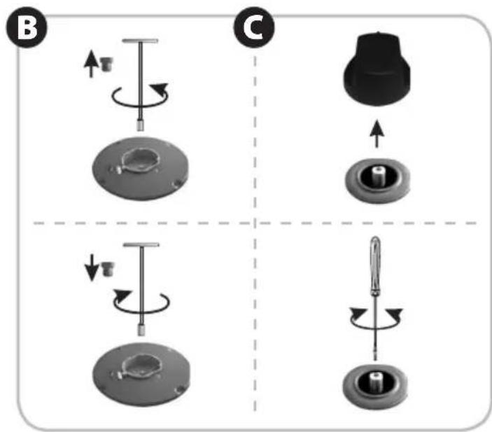 B C D