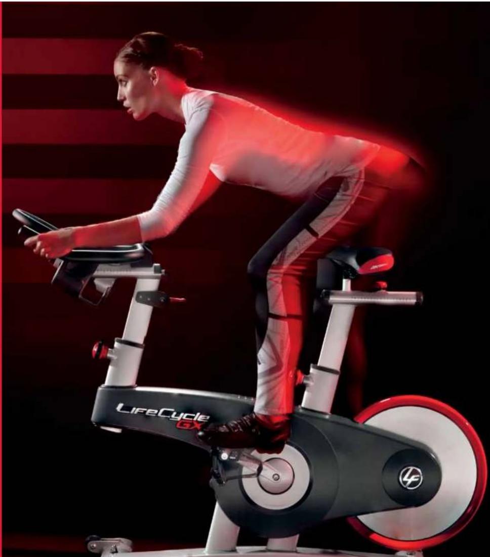 Life Fitness Lifecycle GX - RPE-SKALA - 1