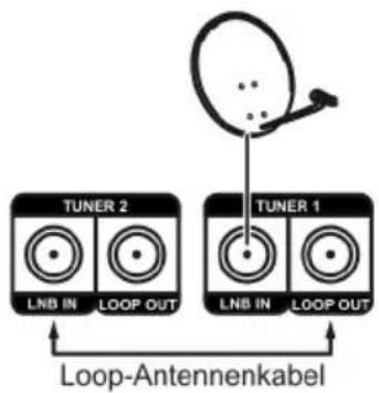 SMART MX 44LIGHT - Tunerdurchschleifung - 2