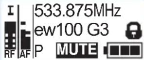 SENNHEISER SKM 100 G3 - Selecting a standard display - 2