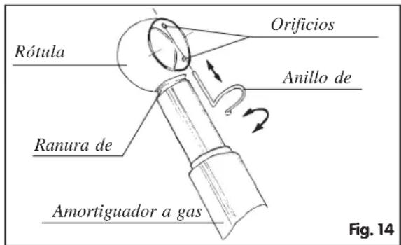 Dr. Kern Atlantic - Bronceado 26 - 6