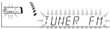 DAILY TUNER FM