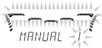 MANUAL