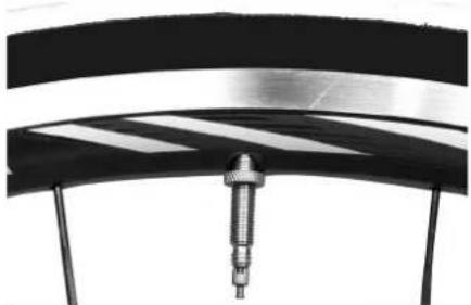 IDEAL Travelon - Reifen und Schläuche - 2