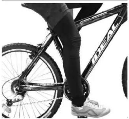 IDEAL Prisma - FAHRRADGRÖSSE - 2