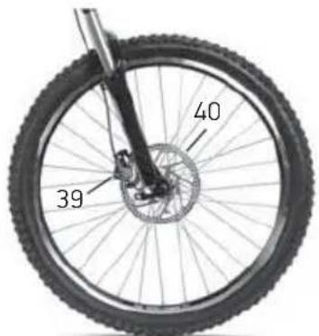 39 40
