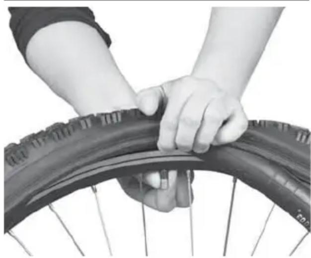 IDEAL Bump - Tires & Tubes - 4
