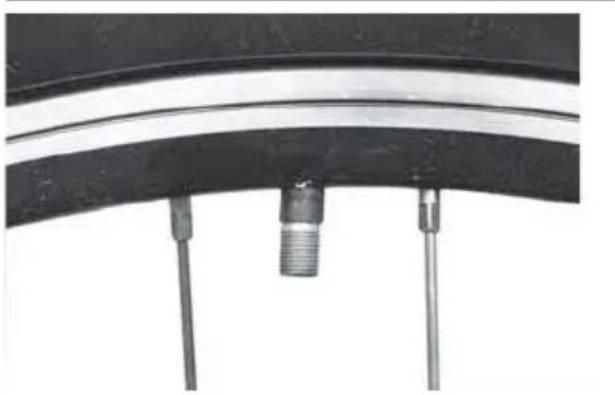 IDEAL Bump - Tires & Tubes - 1