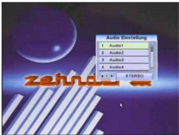 Audio Einstellung 1 Audio1 2 Audio2 3 Audio3 4 Audio4 STEREO
