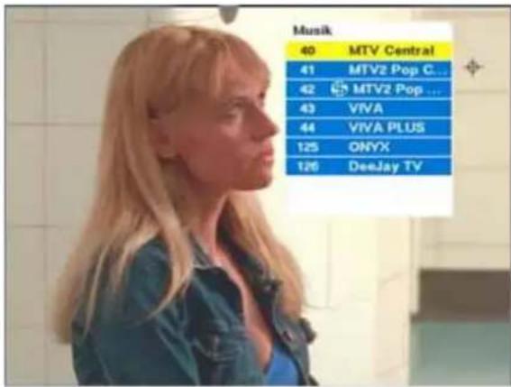 Musik 40 MTV Central 41 MTV2 Pop C... 42 MTV2 Pop ... 43 VIVA 44 VIVA PLUS 125 ONYX 126 DeeJay TV
