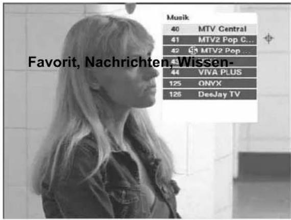 Musik 40 MTV Central 41 MTV2 Pop C... 42 MTV2 Pop ... 43 44 VIVA PLUS 125 ONYX 126 DeeJay TV Favorit, Nachrichten Wissen-