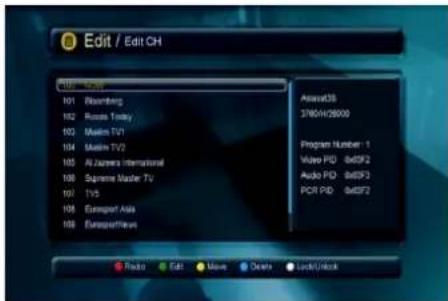 Homecast Pure HD - Programme bearbeiten - 1