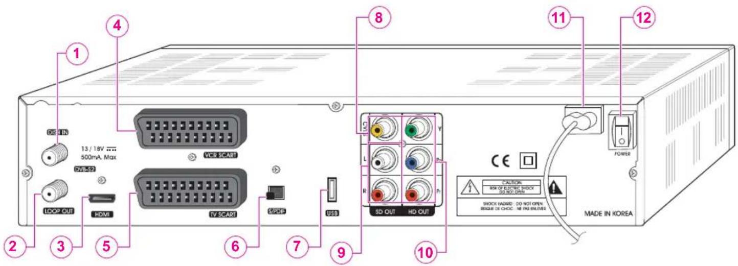 Homecast HS3100 CIIR - Ansicht Rückseite - 1