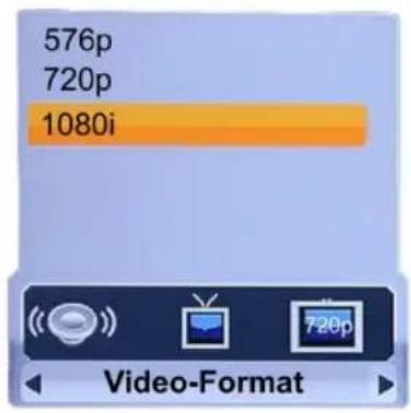 Homecast HS3100 CIIR - Video-Format - 1