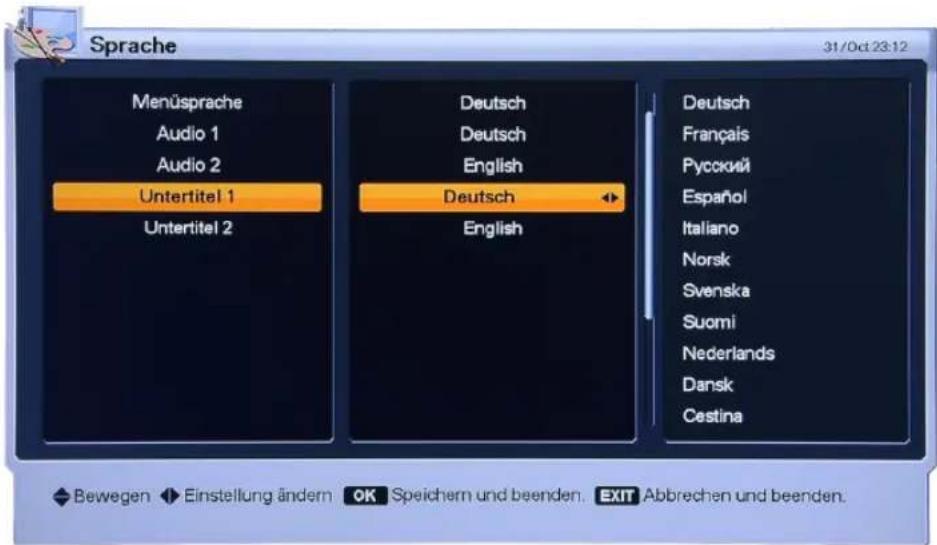 Homecast HS3100 CIIR - Sprache - 1